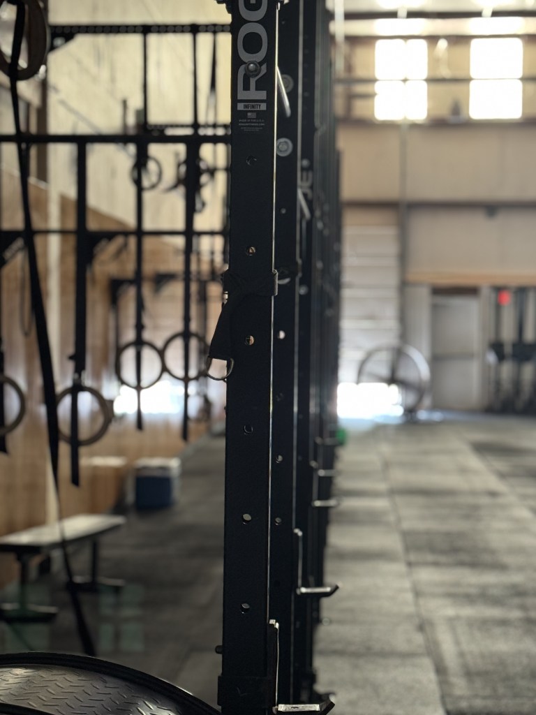 Rogue Infinity strength rig and gymnastic rings at Konza Strength in Manhattan, Kansas